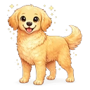 Golden adult