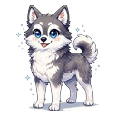 Husky adult